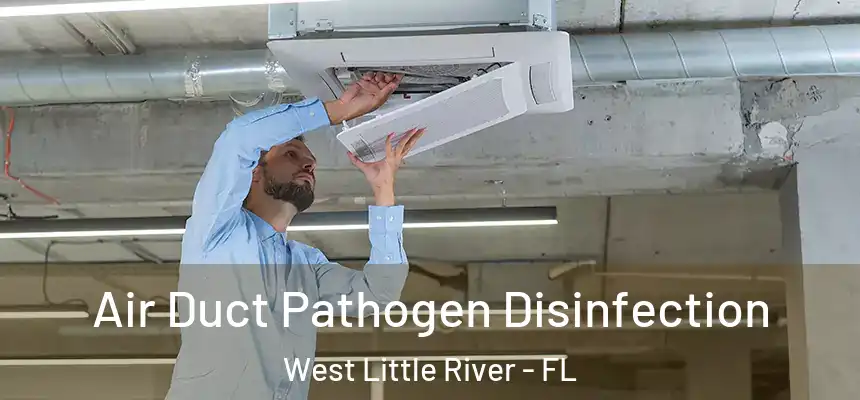 Air Duct Pathogen Disinfection West Little River - FL