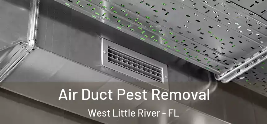 Air Duct Pest Removal West Little River - FL