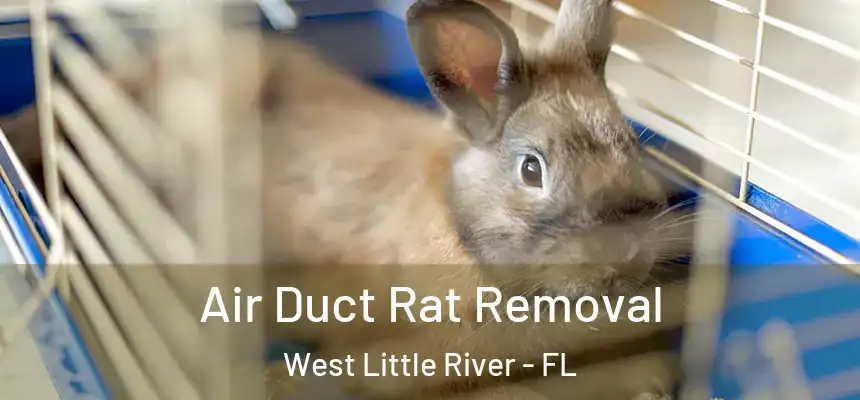 Air Duct Rat Removal West Little River - FL