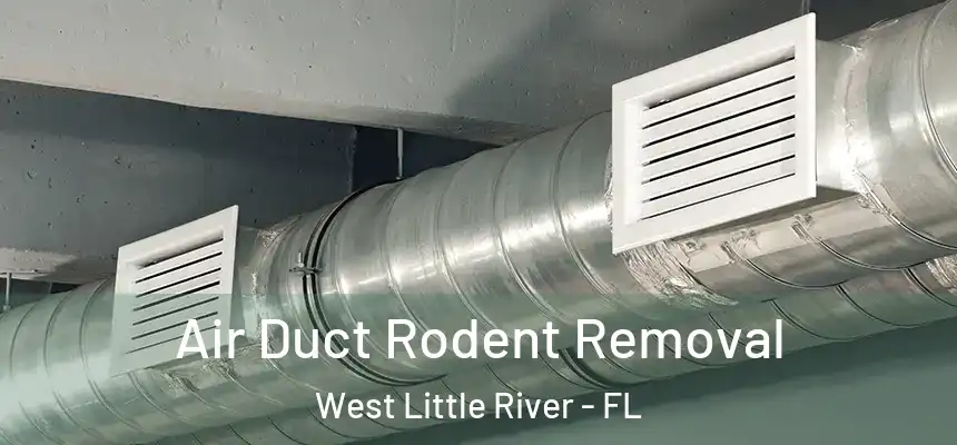 Air Duct Rodent Removal West Little River - FL