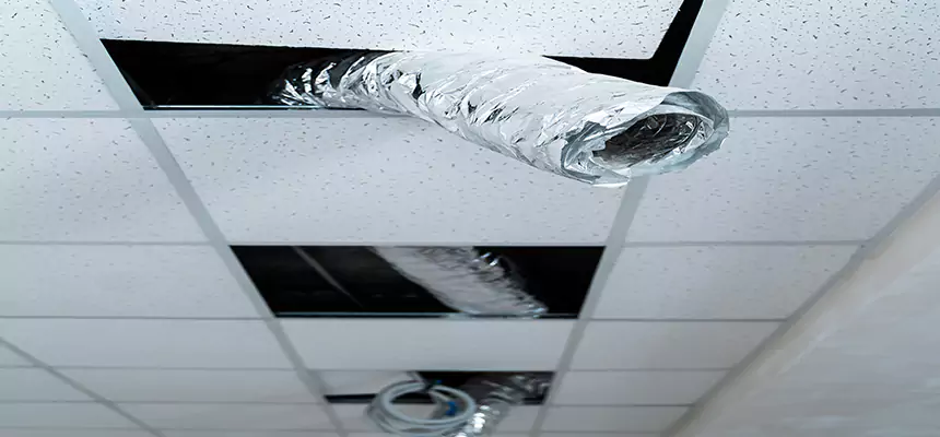 Our Air Duct Pet Hair Removal Services in West Little River, FL