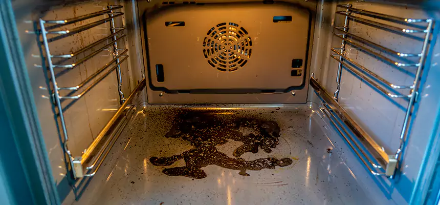 Our Dryer Vent Mold Cleaning Services in West Little River, FL