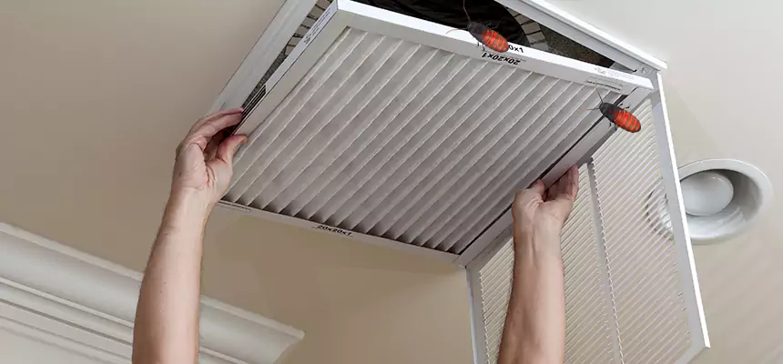 Our Insect Removal from Air Ducts Services in West Little River, FL