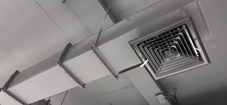 Our Rodent Droppings In Vents Services in West Little River, FL