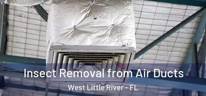Insect Removal from Air Ducts West Little River - FL