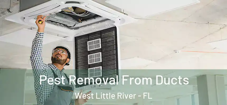 Pest Removal From Ducts West Little River - FL