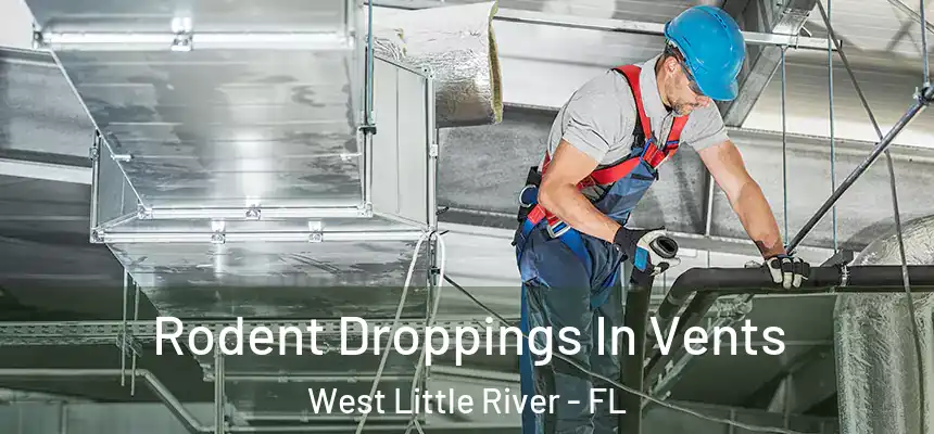 Rodent Droppings In Vents West Little River - FL