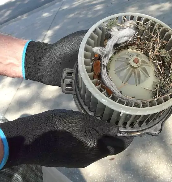 About Air Duct Mice Removal in West Little River, FL