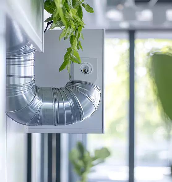 Professional Eco-Safe Dryer Vent Cleaning in West Little River, FL