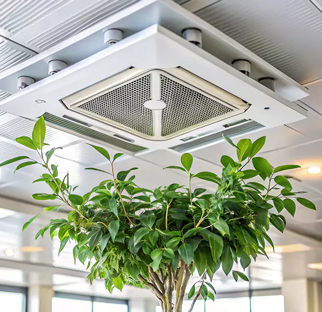 Why Homeowners & Businesses Trust Us in West Little River, FL?